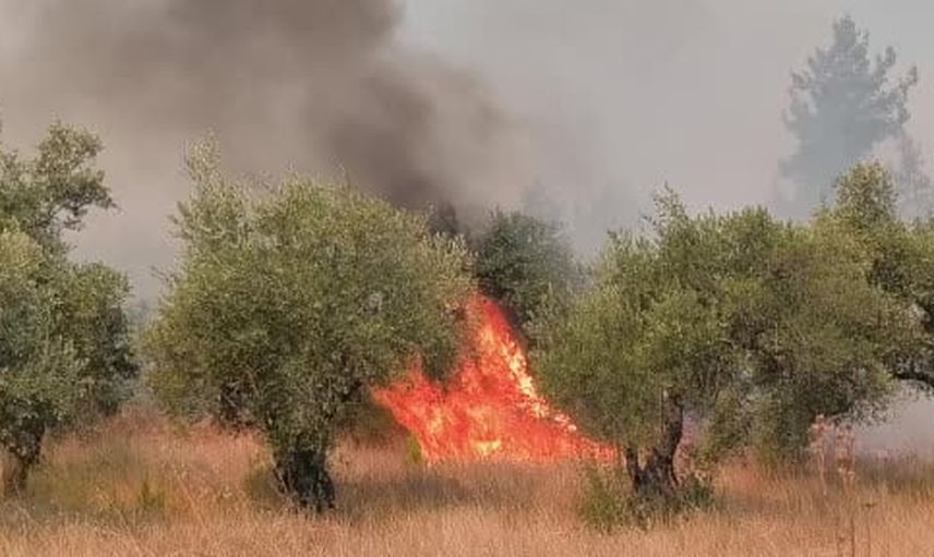 Aksu'da alevlerle mücadele sürüyor: çalışmalar kesintisiz devam ediyor