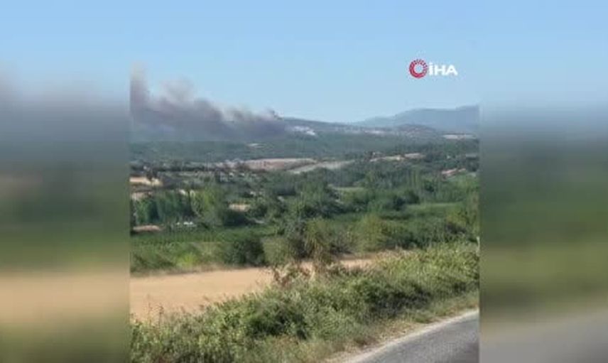 Bayramiç'te rüzgarla yayılan orman yangınına havadan ve karadan müdahale