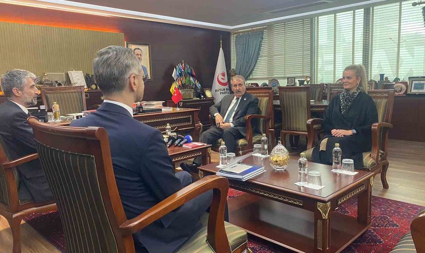 Destici: Türkiye pandemide ve Ukrayna-Rusya sürecinde dengeli politika izledi