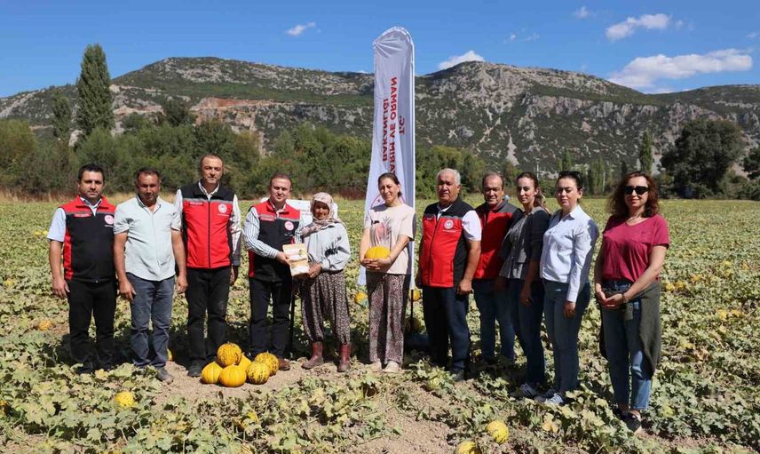 Karabağlar yaylasında ata tohumları ve yayla kavununda hasat dönemi başladı
