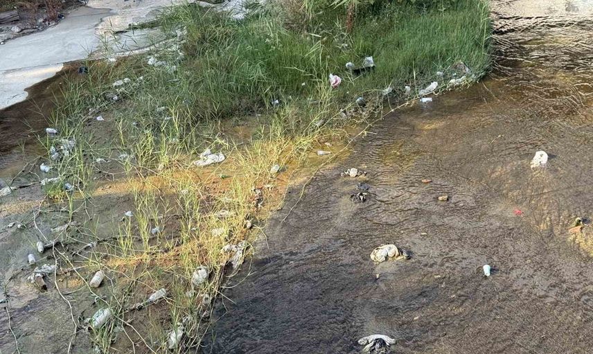 Kentin içinden geçen Tabakhane Deresi atıklarla boğuşuyor