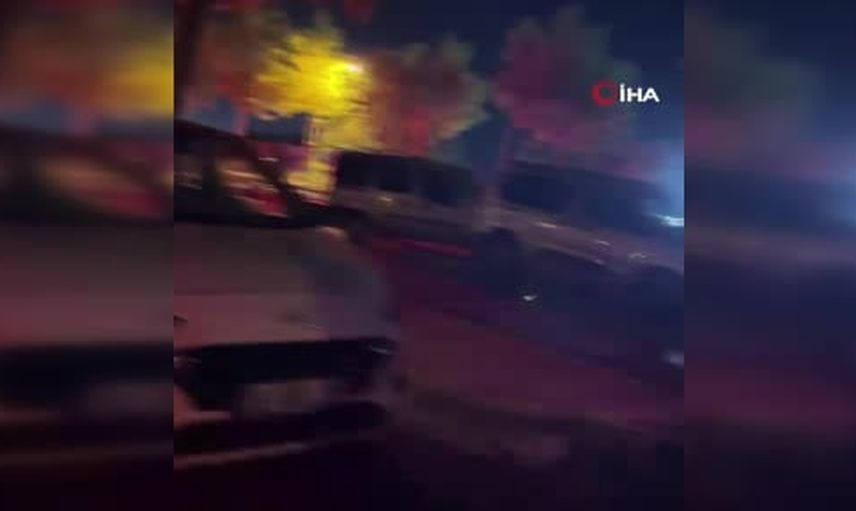 Ani fren zincirleme kazaya yol açtı: yola çıkan köpekler beş aracı etkiledi
