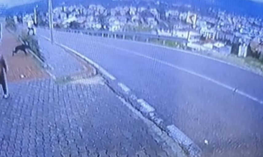 Durdaki panik bacağını kırdı: Orhangazi'de köpekten kaçan çocuk yaralandı