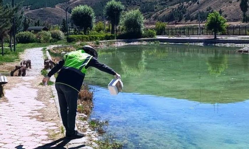 Bayburt’ta haşerelere karşı kapsamlı ilaçlama
