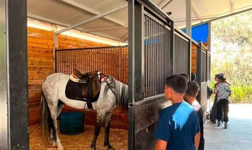 Bilecik'te çocuklara atlarla unutulmaz tanışma