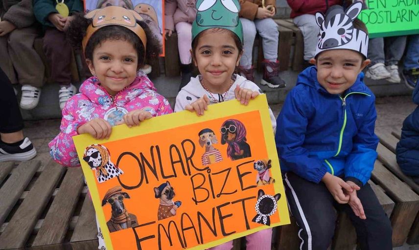 Bilecik'te minik öğrenciler sokak hayvanlarına sevgi ve mama götürdü