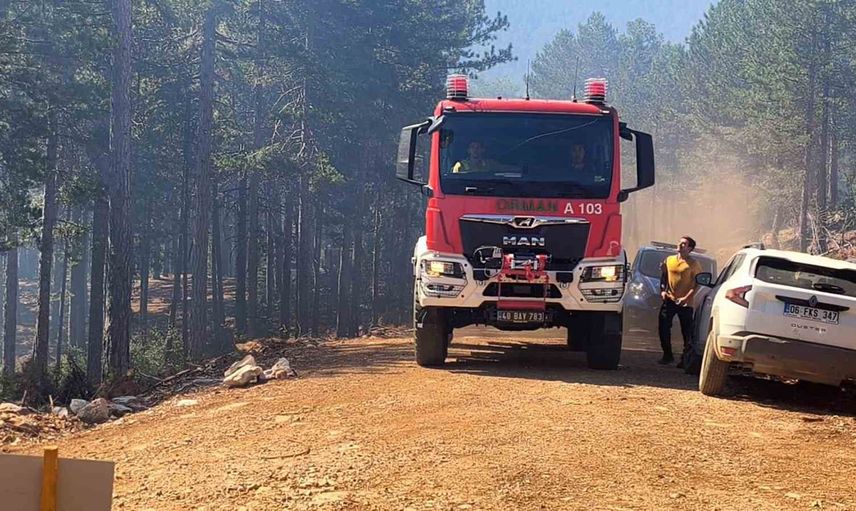 Yılanlı Kurdu yangını hızlı müdahale ile kontrol altına alındı
