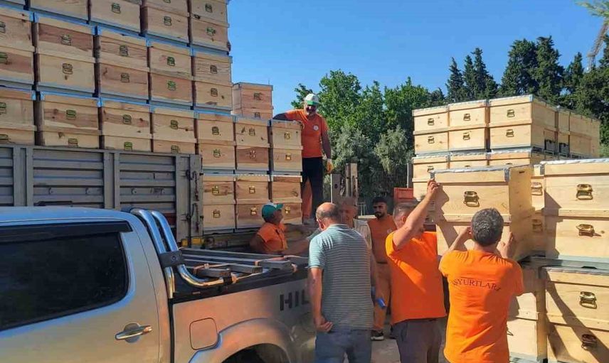 Çanakkale'de arıcılara 2 bin kovanla yeniden üretime dönüş