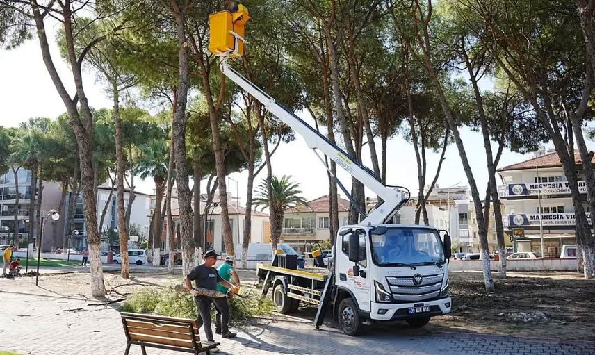 Germencik incir festivaline hazırlanıyor: alan yenilemesi sürüyor