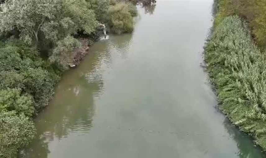Balık ölümleri Mustafakemalpaşa çayı'nda tekrar görüldü