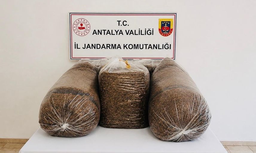 Antalya'da iki ilçede düzenlenen operasyonda 365 kilogram kaçak tütün ele geçirildi