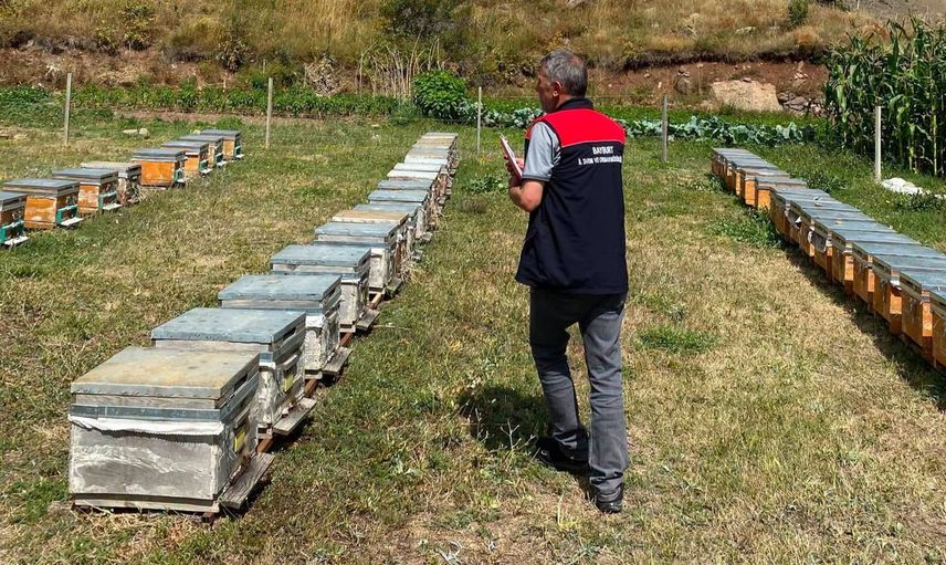 Bayburt'ta kovan envanteriyle arıcılık kayıt altına alınıyor