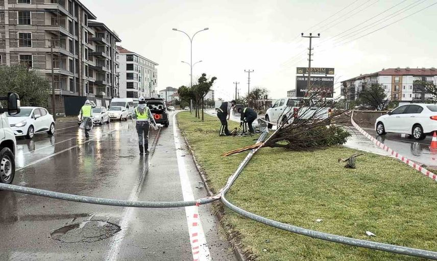 Şehir merkezine giderken kontrolden çıkan otomobil direği ve ağacı devirdi