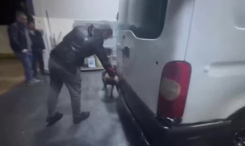 Narkotik köpeğinin takibi Kocaeli'de 338 bin sentetik ecza hapını ortaya çıkardı