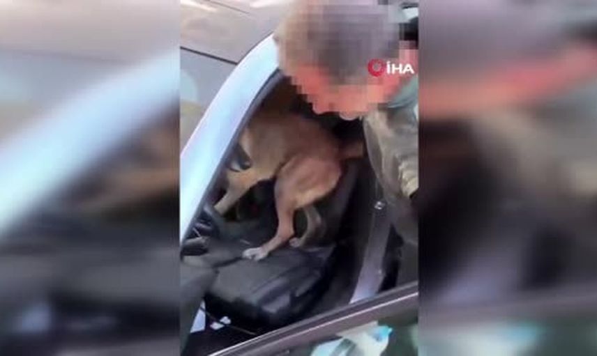 Manisa'da büyük miktarda sentetik ecza nakli durduruldu: iki şüpheli tutuklandı