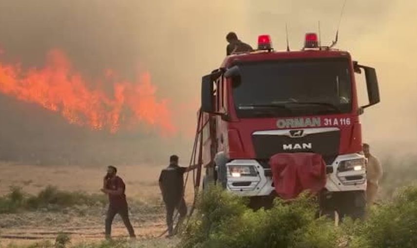 Hatay'da Narlıca Mahallesi'nde alevler ormanlık alandan zeytinliğe sıçradı
