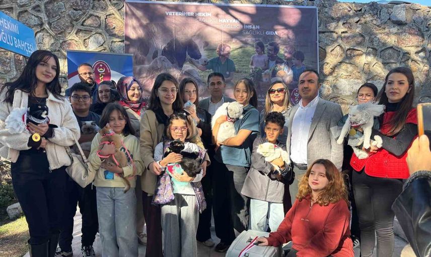 Tokat'ta kedi podyumu: sevimliler hayvan sevgisini sahneledi