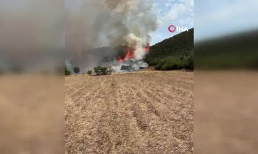 Sındırgı Çelebiler'de başlayan yangın ormanlık alana sıçradı; söndürme çalışmaları devam ediyor
