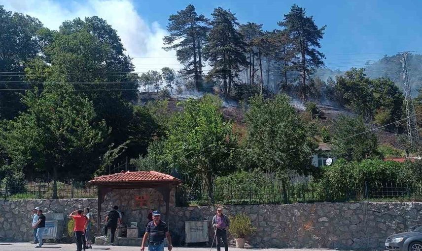 Sinop'ta orman yangını: bir kişi gözaltında