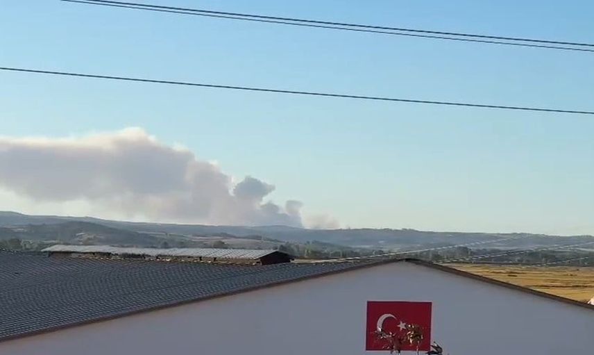 Evros yangını Meriç'ten de görüldü, gökyüzü akşam dumanla kaplandı