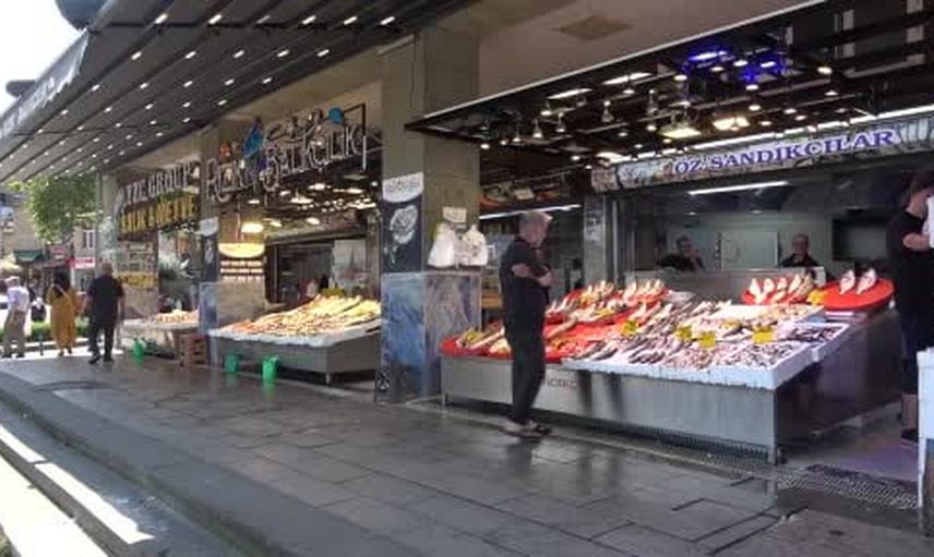 Palamutta canlanma umutları yükseliyor: 'o sene bu sene olacak'