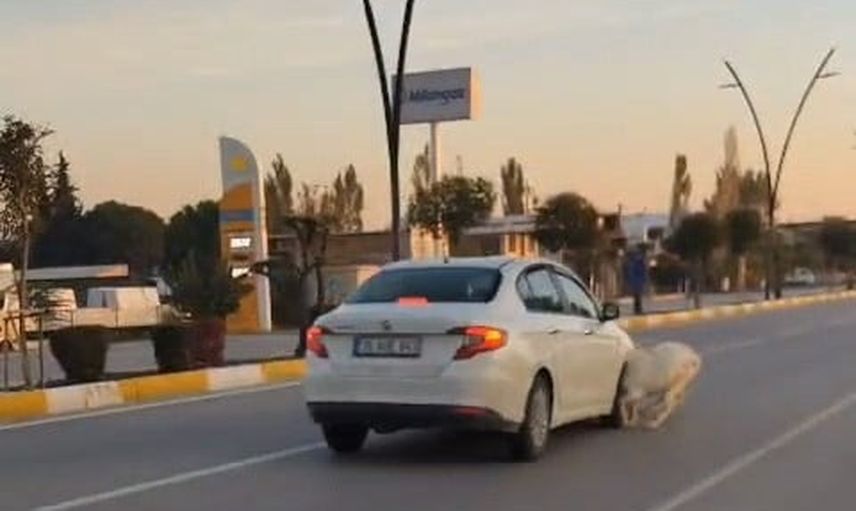 Manisa'da yolda aniden çıkan küçükbaşlar üç keçinin ölümüne yol açtı