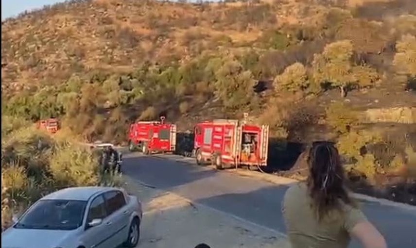 Söke'de orman yangını ekiplerin müdahalesiyle kontrol altına alındı