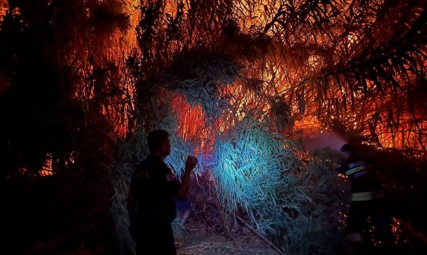 bodrum ekipleri gece ve sabah yangınlarına müdahale ederek yerleşim alanlarını korudu