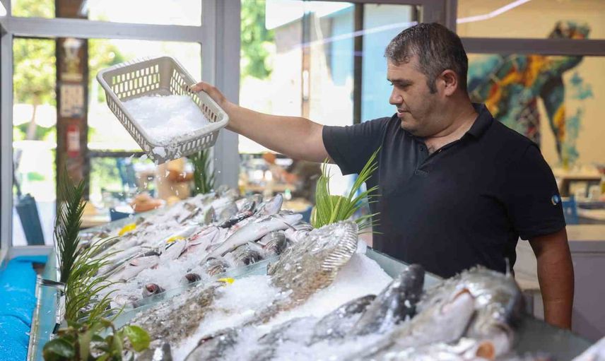 Düden balık çarşısı antalya'da taze deniz ürünlerinin buluşma noktası