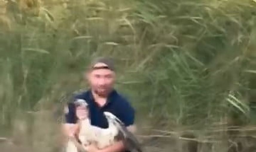 Bir adımda hayat kurtaran müdahale: Boğazköy'de balçığa saplanan leylek kurtarıldı