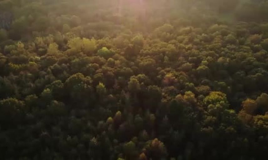 RTÜK yayıncılara çağrı yaptı: COP31 kamu spotları yayın akışında yer almalı