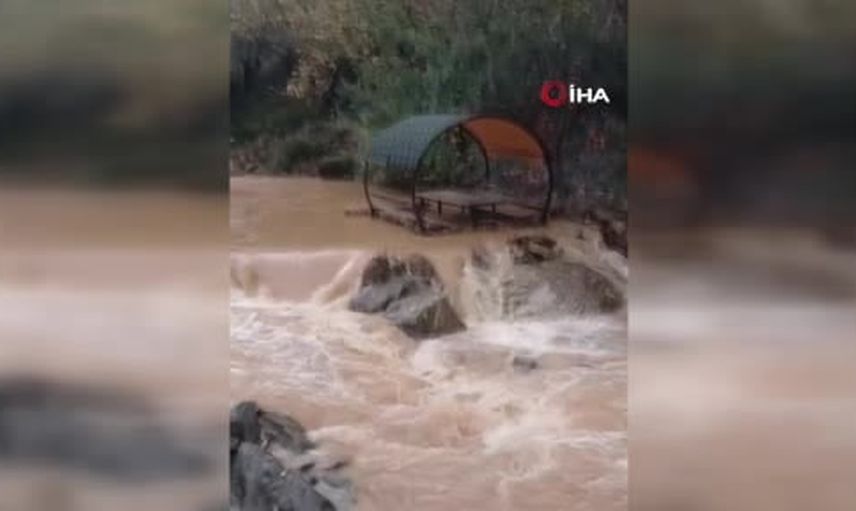Teke Deresi'nde taşkın kamelyaları sürükledi