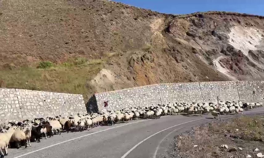 Göçerlerin kış mesaisi: Erzurum yaylalarından zorlu iniş