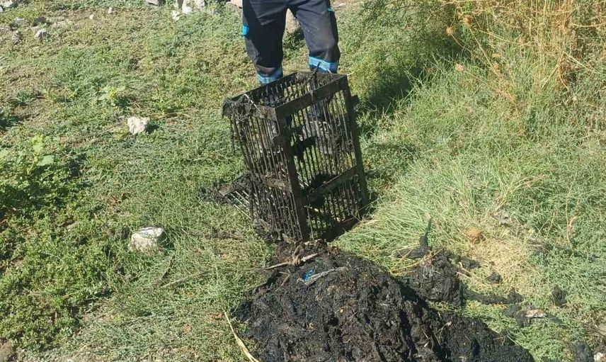 Ayvalık'ta altyapıyı tıkayan küçük hata: ıslak mendiller
