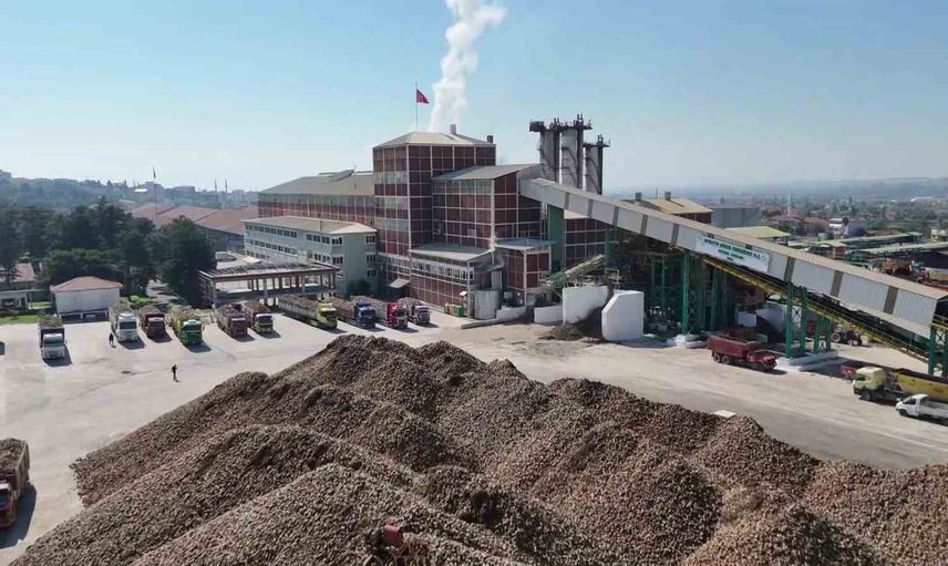 Tarladan fabrikaya: Amasya'da şeker pancarı sezonu başladı
