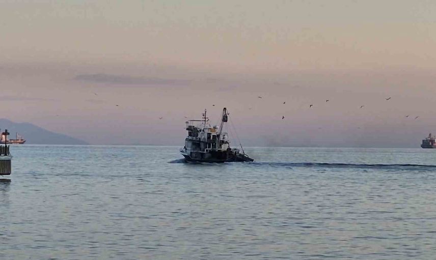 Marmara'da av ortaklığı: martılar teknelerin peşinden uçtu
