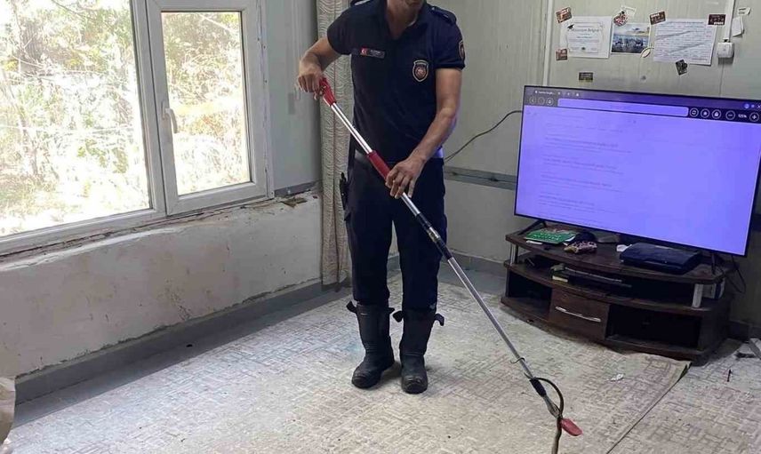 Defne'de eve giren yılan itfaiye tarafından zarar verilmeden yakalandı