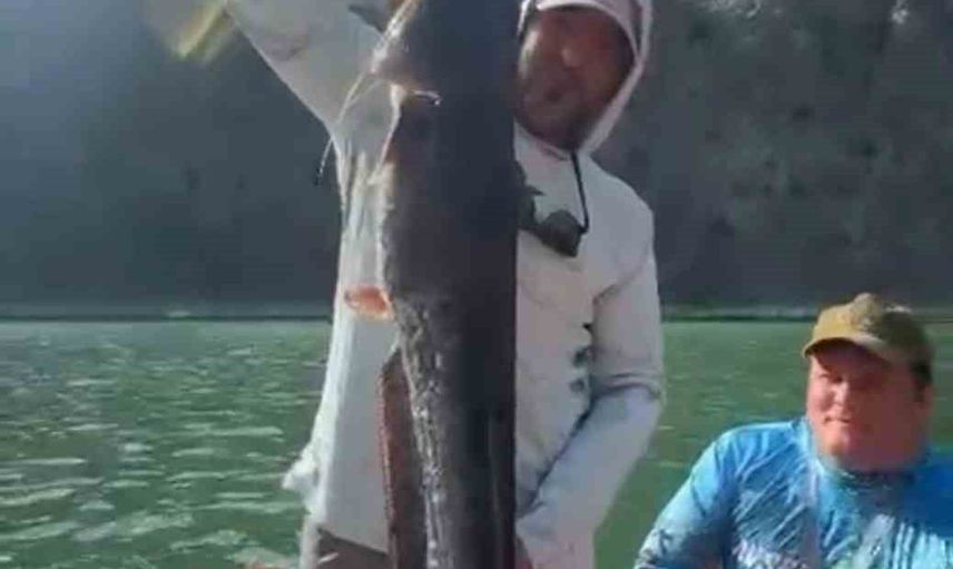 Barajda yakaladığı yayın balığını suya geri bırakan avcı takdir topladı