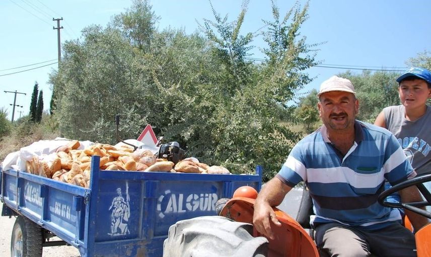 Ekmek israfı çöplükleri değil hayvan yemini besliyor