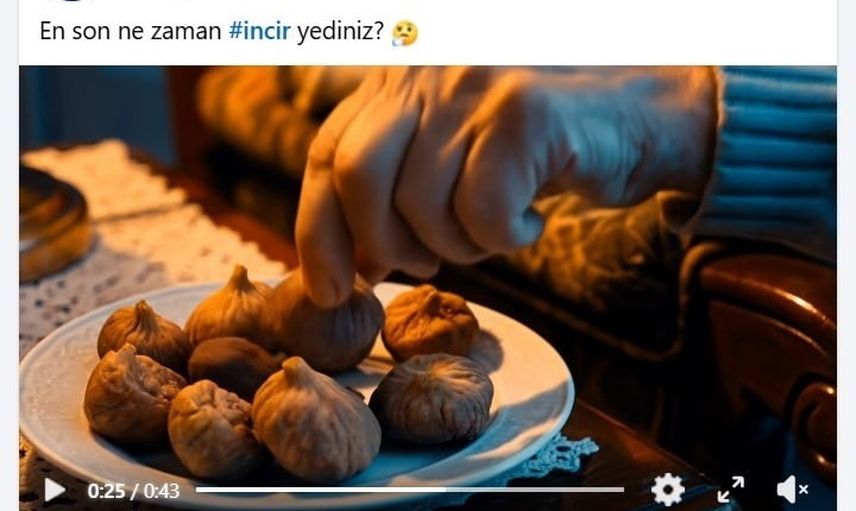 Aydın incirini kısa filmle tanıtma hamlesi