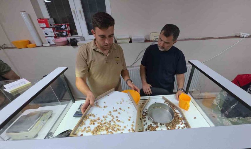 Düzce'de TMO fındık alımına başladı, kapıda uzun kuyruklar oluştu
