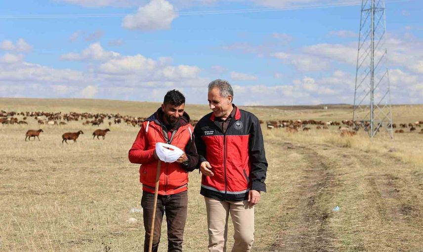 Kars'ın meralarında alın teri: çobanlar üretimin belkemiği