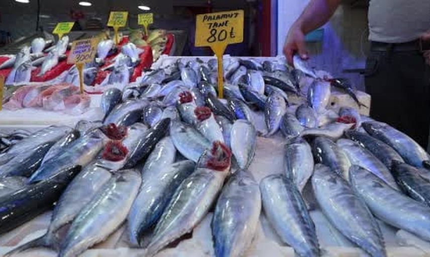 Karadeniz'de palamut bereketi: Samsun tezgahları hareketlendi