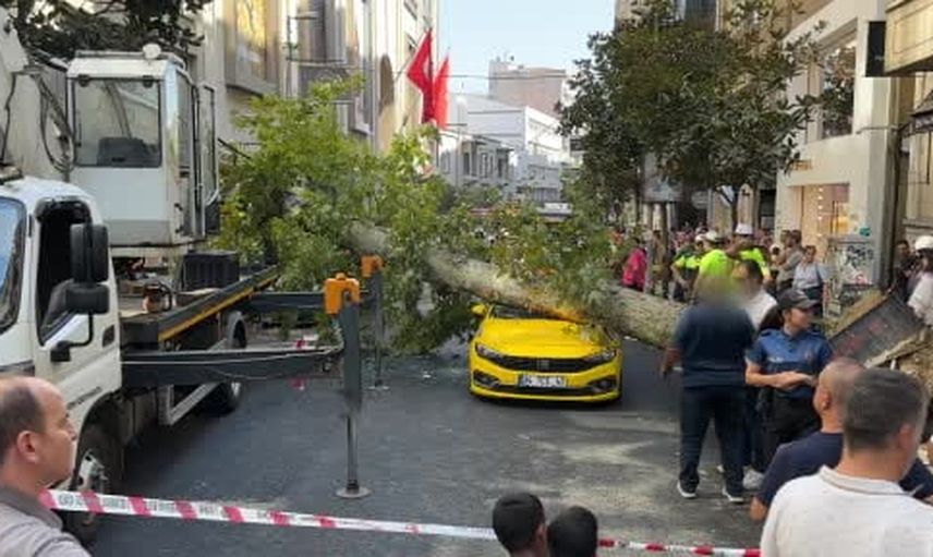 Nişantaşı'nda kökünden kopan çınar iki aracın üzerine devrildi