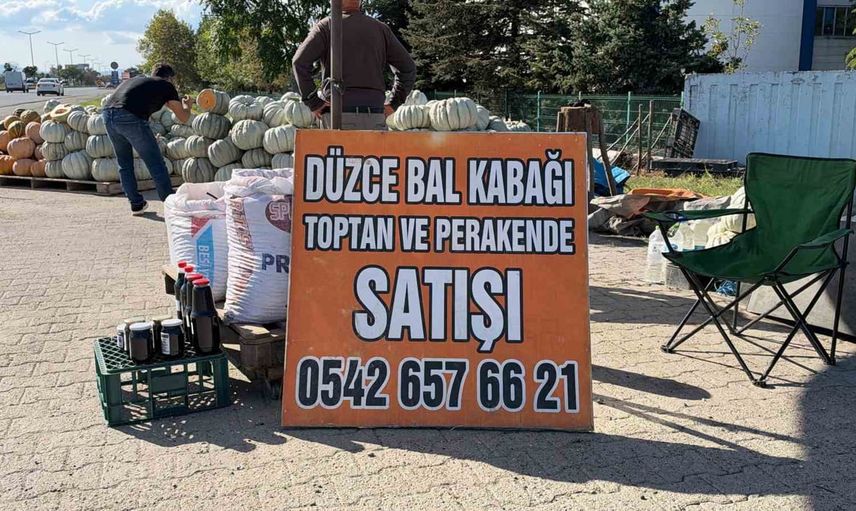Düzce kabağının ünü sofralara ve yurt dışına taşındı