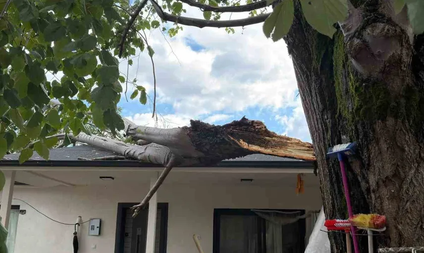 Evin üzerine devrilen ağaç ekiplerin koordineli müdahalesiyle kaldırıldı