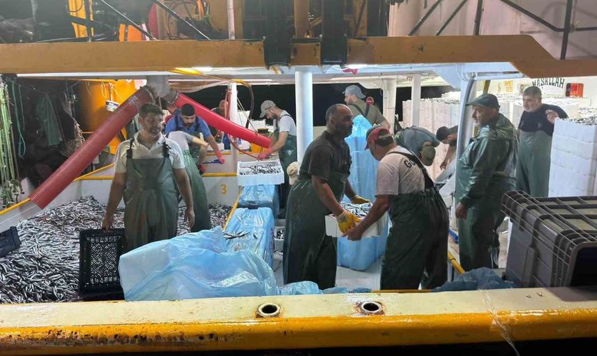 Kota ile sürdürülebilir avcılığa adım: Didim'de hamsi denetimleri yoğunlaştı