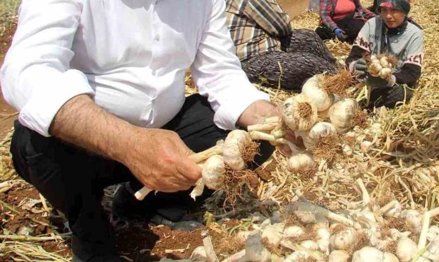 Çiftçinin hakkını korumak artık tercih değil zorunluluk