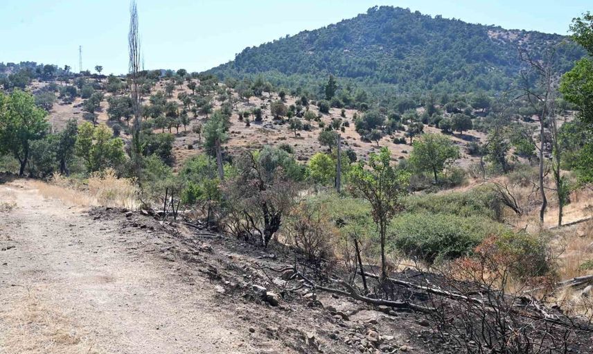Davutlar'da traktör arkası tanker hayat kurtardı