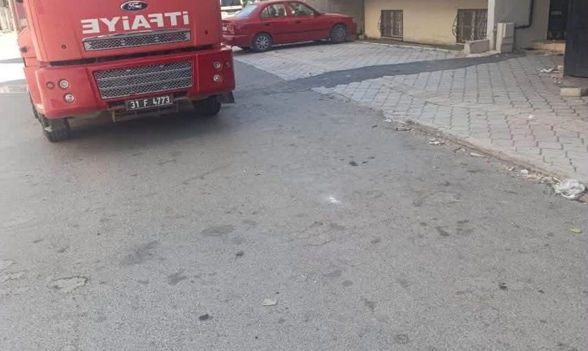 Motor bölümünden parka: Reyhanlı ve Defne'de mahsur kediler ekiplerce kurtarıldı